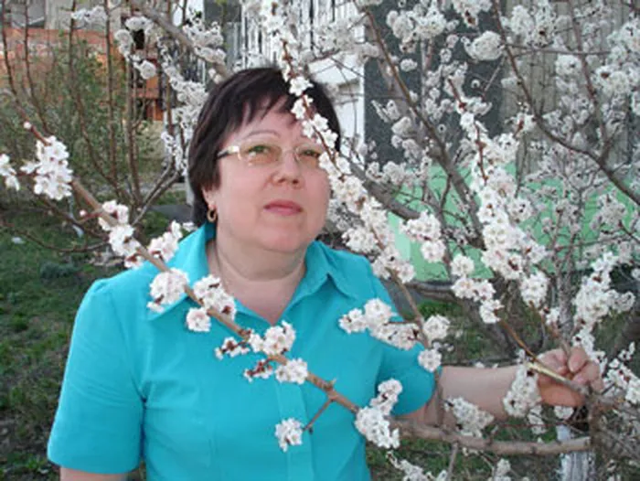 Andreeva